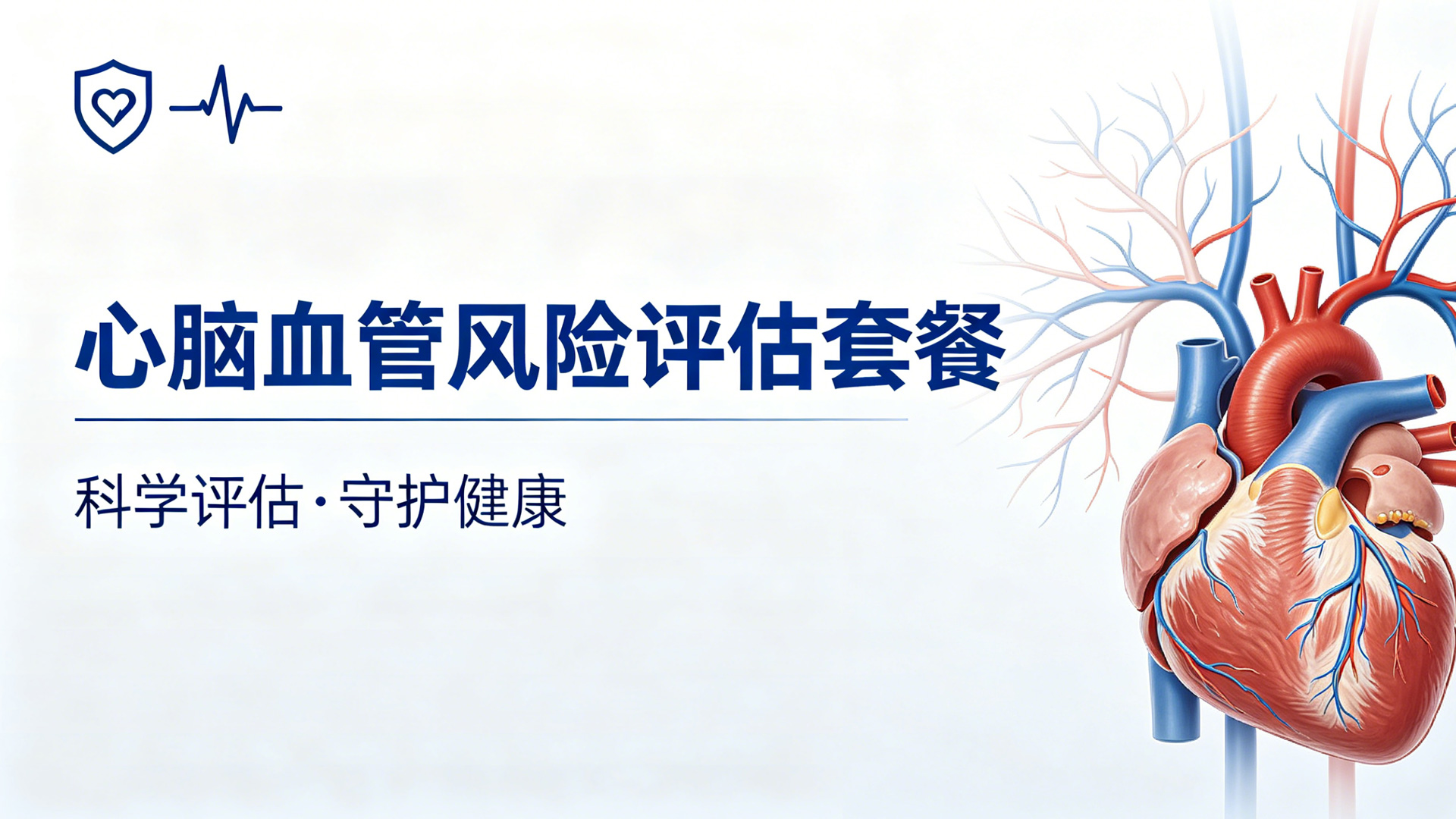 心脑血管风险评估套餐