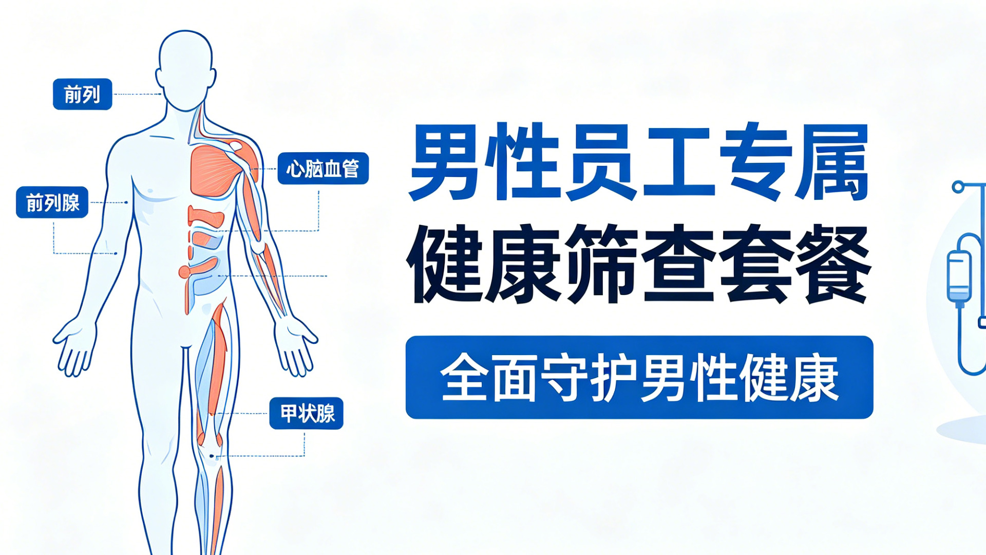 男性员工专属健康筛查套餐